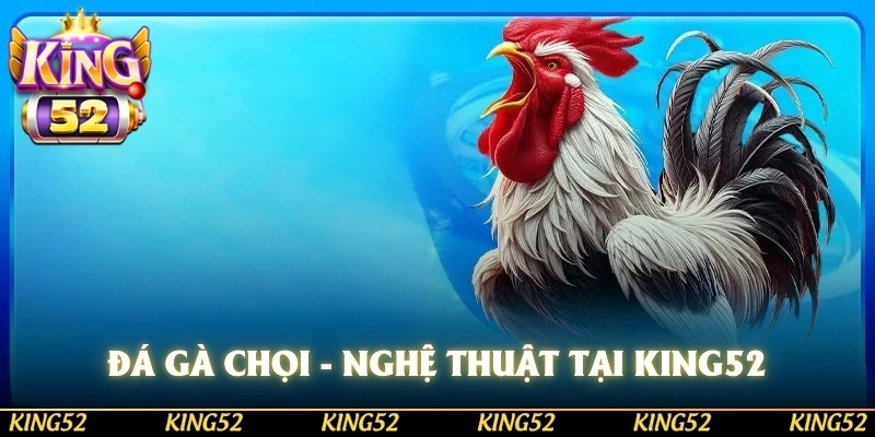 đá gà chọi